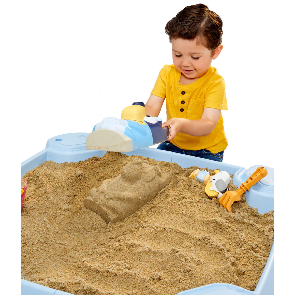Bluey Beach Day Sandbox?